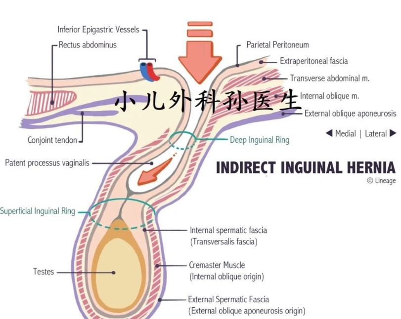 surgaid medical surgaid medical
