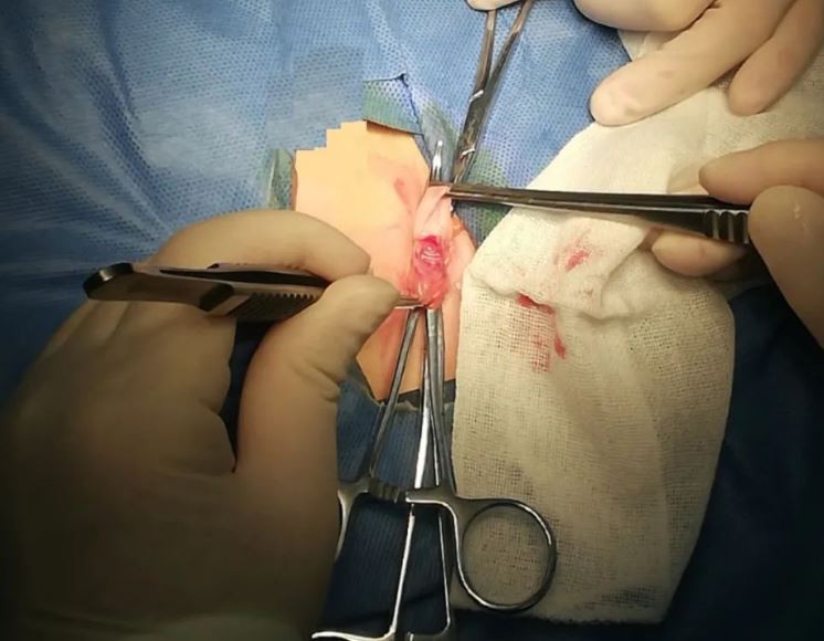 surgaid medical surgaid medical