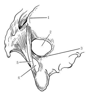surgaid medical1215