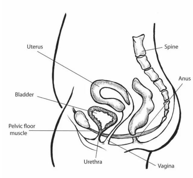 surgaid medical3