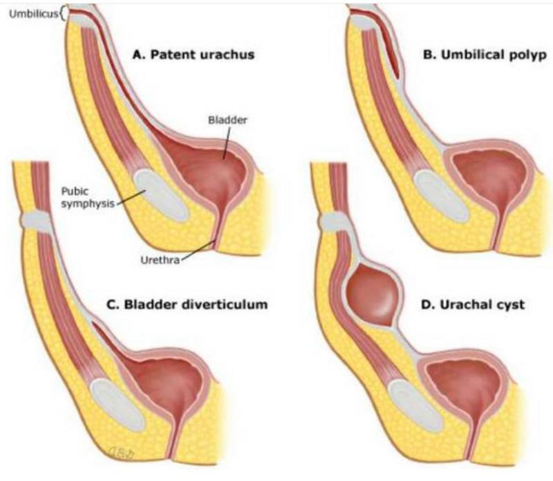 surgaid medical 
